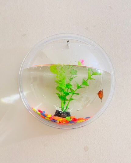 Mini Hanging Aquarium Jar
